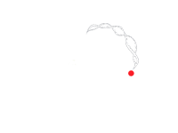 Aarialife Corporate Logo